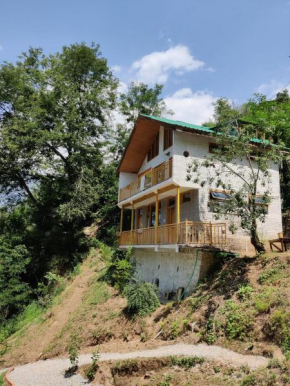 Jungle Vibes hostel